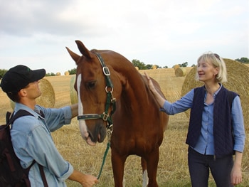 Empowerment mit einer Pferdestärke. Mit pferdegestütztem Coaching aus der Burnout-Falle
