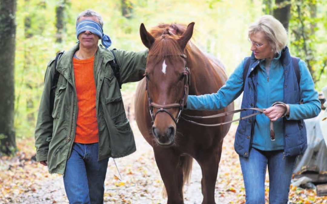 Mit Pferden aus der Burn-out-Falle. Christine Odette Meier lehrt Menschen, die Zügel des Lebens wieder in die Hand zu nehmen